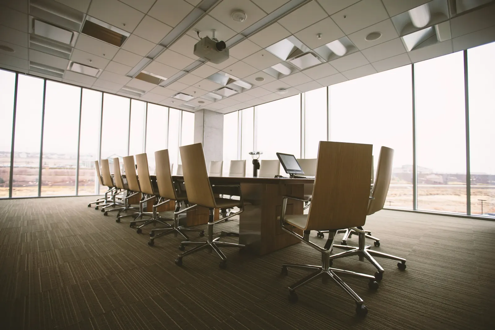 Two advisers in discussion in a glass-walled meeting room