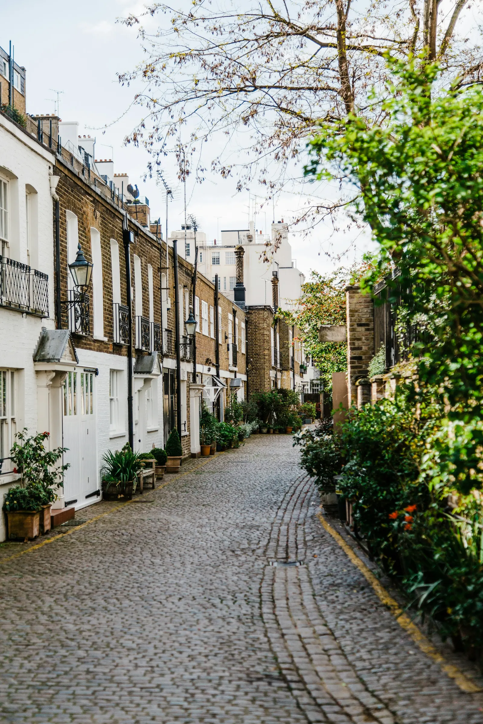 A terrace of London townhouses